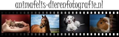 Logo_animafelisfotografie