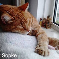 Sopke_140916